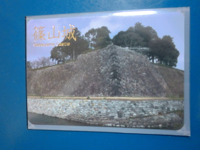 城カード 日本100名城 篠山城 天守台 【即決】拍卖