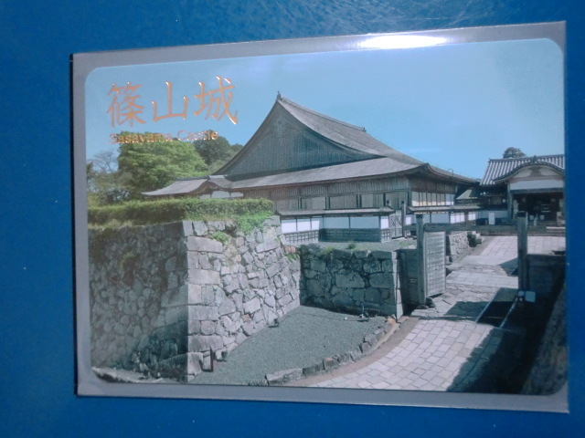 城カード 日本100名城 篠山城 大書院 【即決】拍卖
