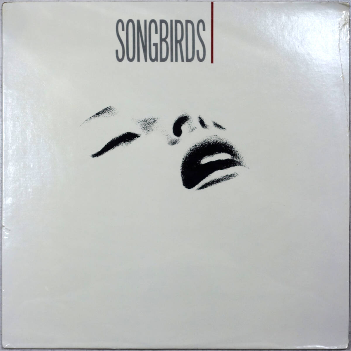 ◆V.A./SONGBIRDS (US LP/Sealed) -Albert Van Dam, Stephane Grappelli, Toots Thielemans, Grady Tate, Shirley Horn, Ann Burton拍卖