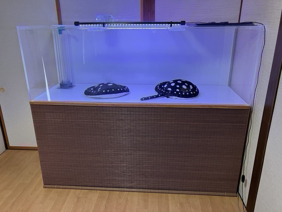 180×60×60オーバーフロー水槽 長野県引取りのみ!セット アクリル 1800×600×600OF水槽 水槽台 (アジアアロワナ バリ風 熱帯魚)拍卖