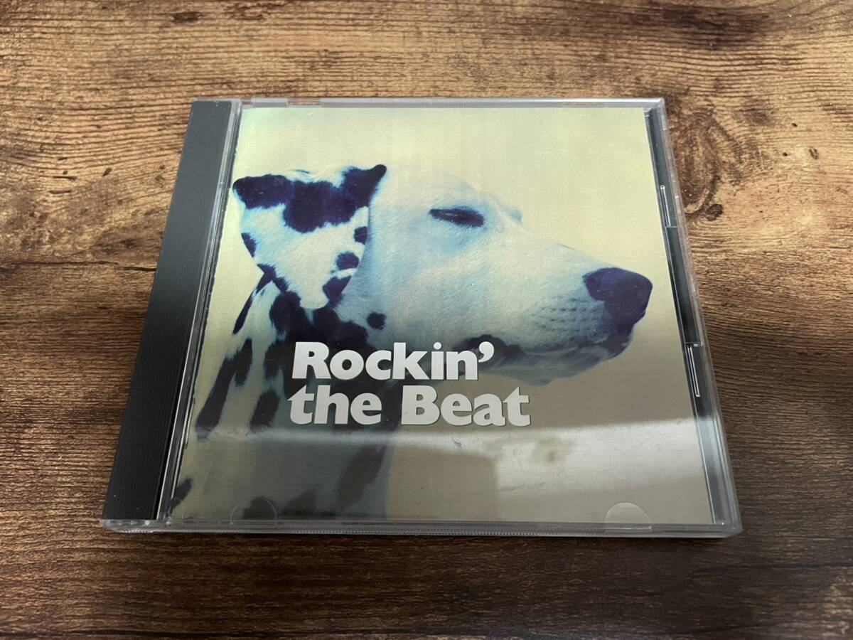 CD「Rockin' the Beat」ハウンドドッグ英語カバー●拍卖