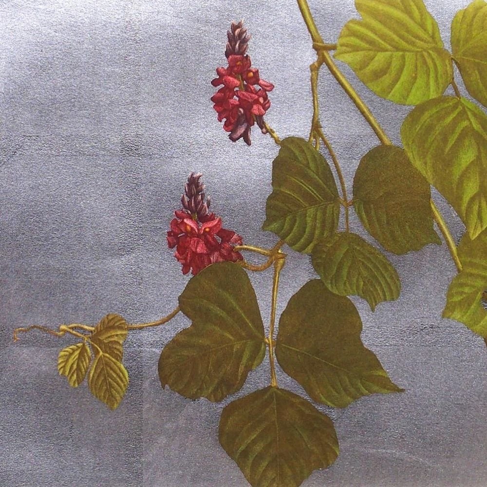 宮山広明 「Arrowroot 97-2」 /銅版画/直筆サイン有り/師:瞭修平/版画工房うつし主宰/世界的に活躍する版画家/真作保証/ENCHANTE拍卖