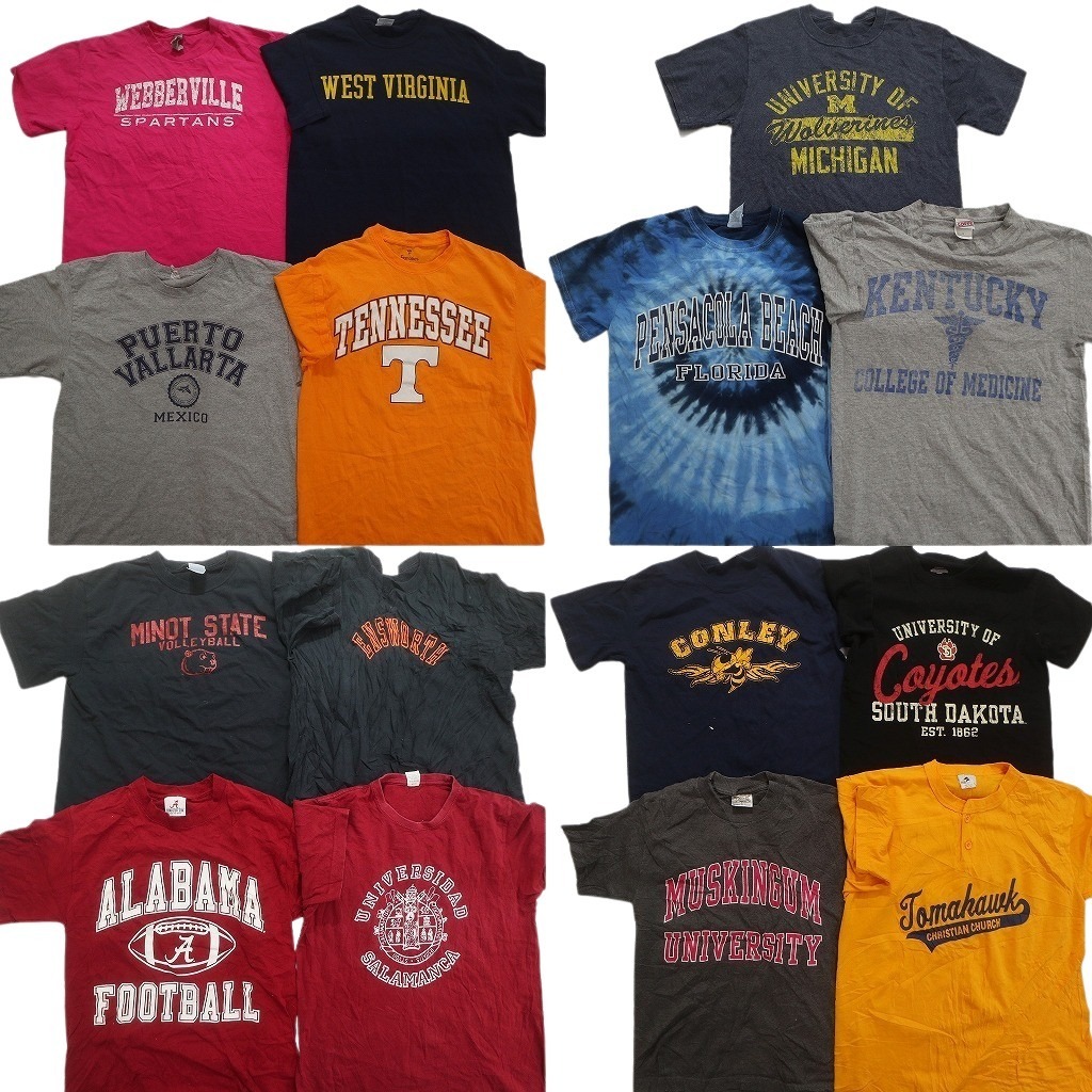 古着卸 まとめ売り カレッジ風 半袖Tシャツ 15枚セット (メンズ S /M ) タイダイ 三段ロゴ アーチロゴ ヘンリーネック NC3658 1円スタート拍卖