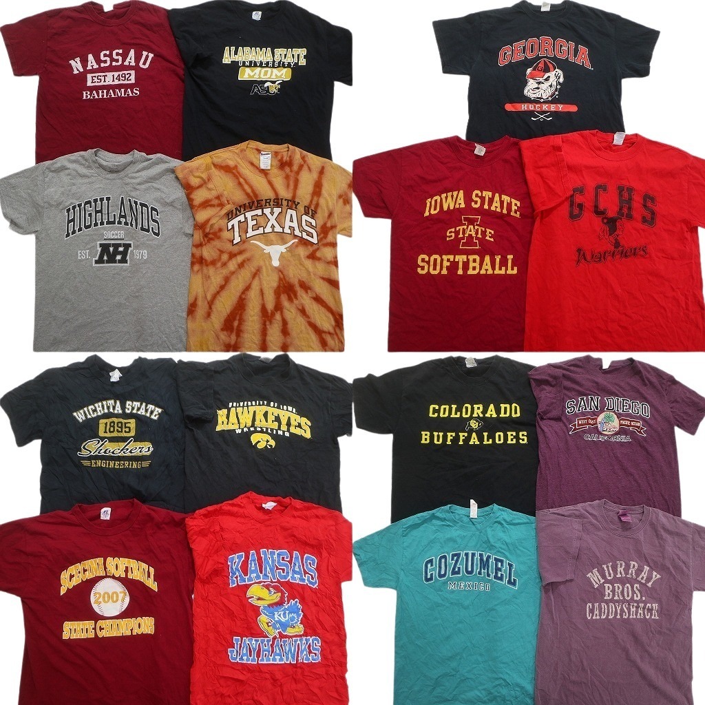 古着卸 まとめ売り カレッジ風 半袖Tシャツ 15枚セット (メンズ M ) タイダイ チームロゴ アーチロゴ 三段ロゴ NC3657 1円スタート拍卖