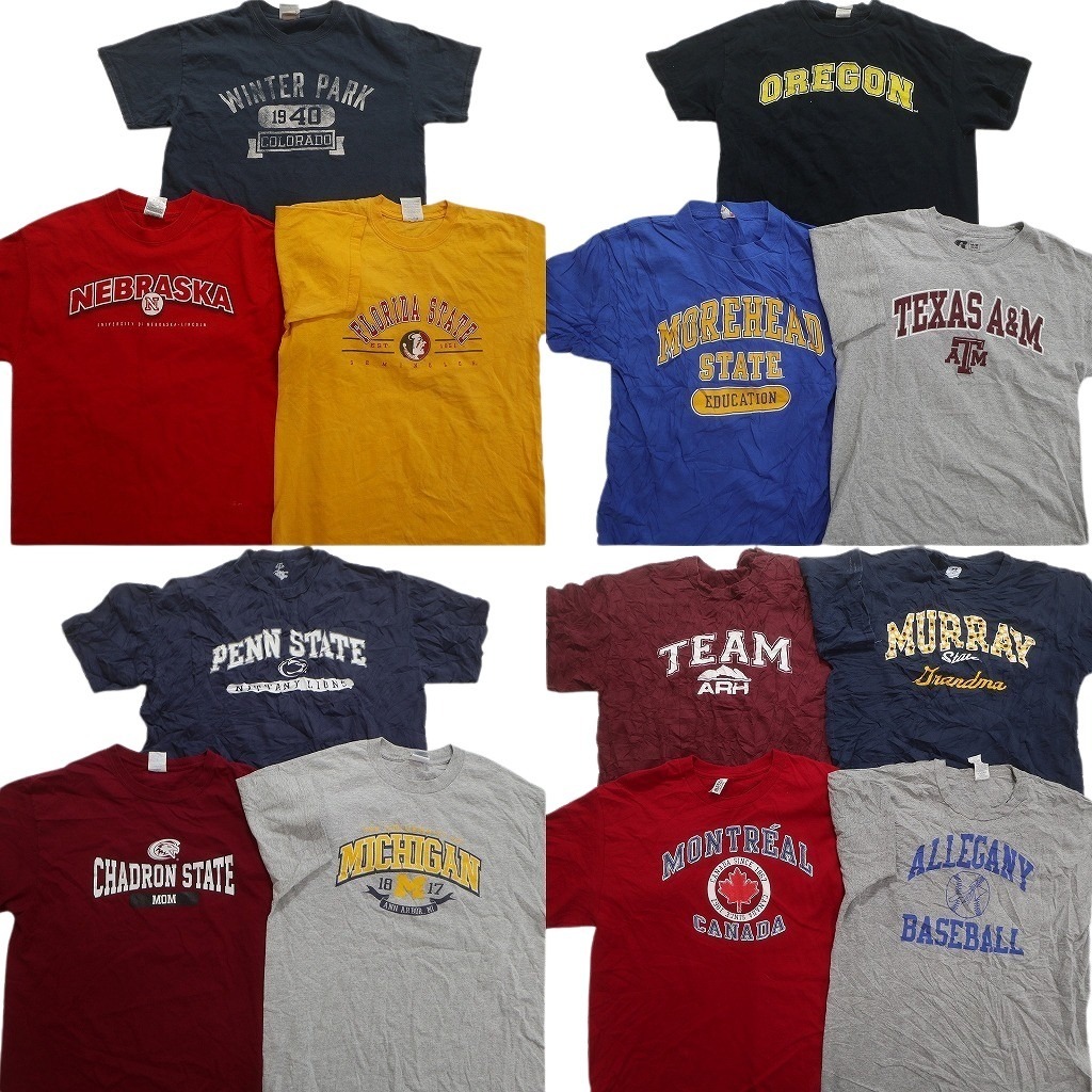 古着卸 まとめ売り カレッジ風 半袖Tシャツ 13枚セット (メンズ M /L ) 三段ロゴ ラッセル アーチロゴ チームロゴ NC3652 1円スタート拍卖