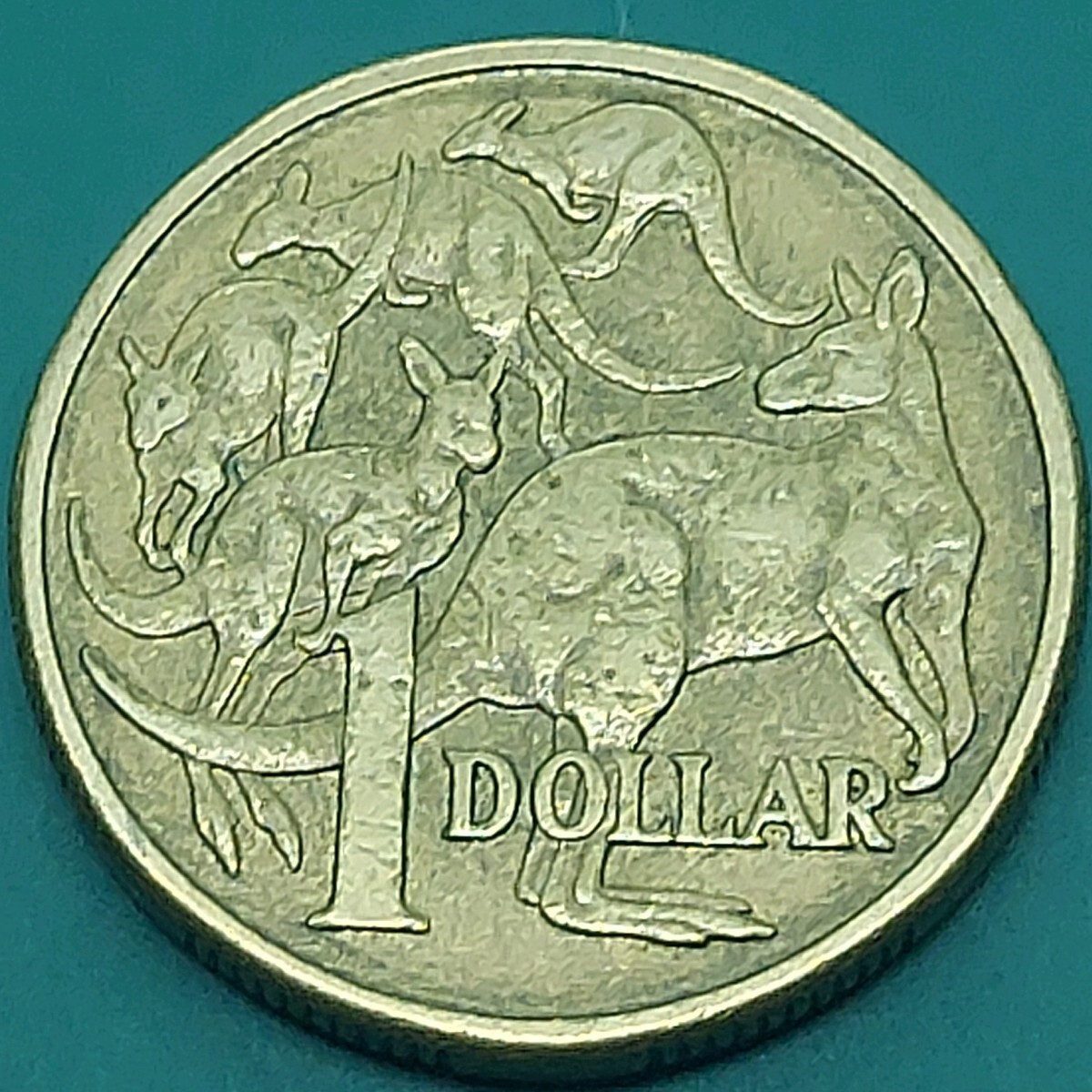 オーストラリア 1ドル硬貨 1DOLLARコイン エリザベス2世 カンガルー AUSTRALIA 【L121】拍卖