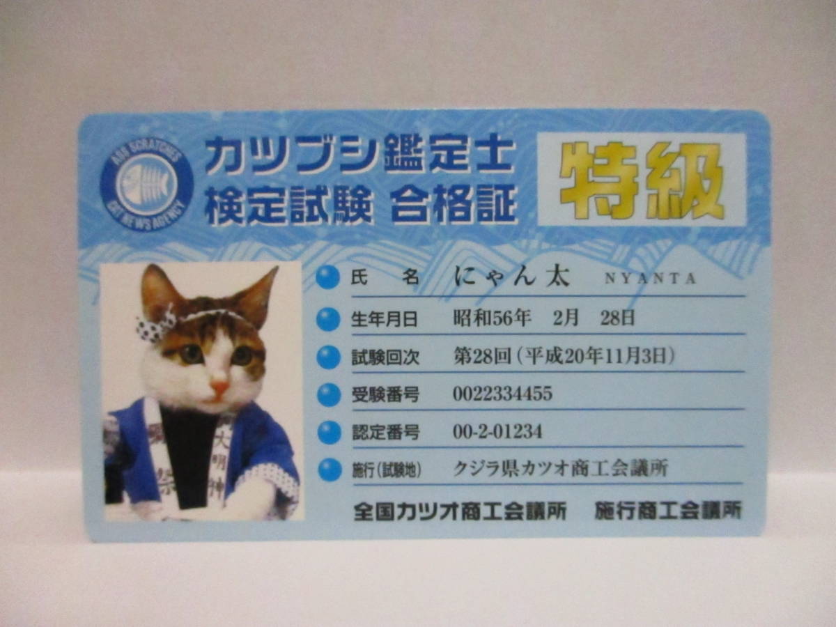★ なめ猫 なめんなよ カツブシ鑑定士 検定試験 合格証 にゃん太 新品 即決 特級 認定証 ★ なめ猫同梱検索拍卖