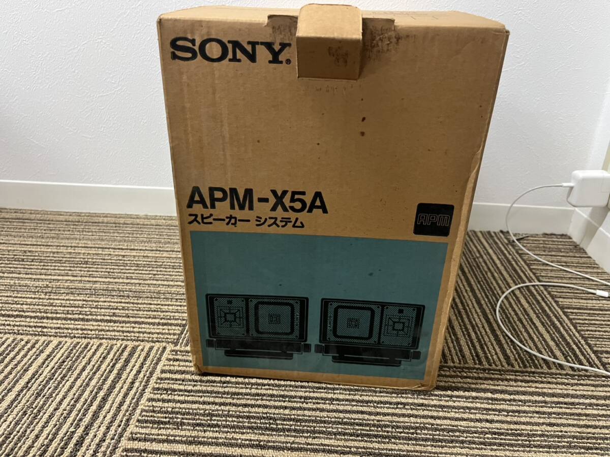 SONY APM-X5A 平面スピーカー ペア 2個セット拍卖