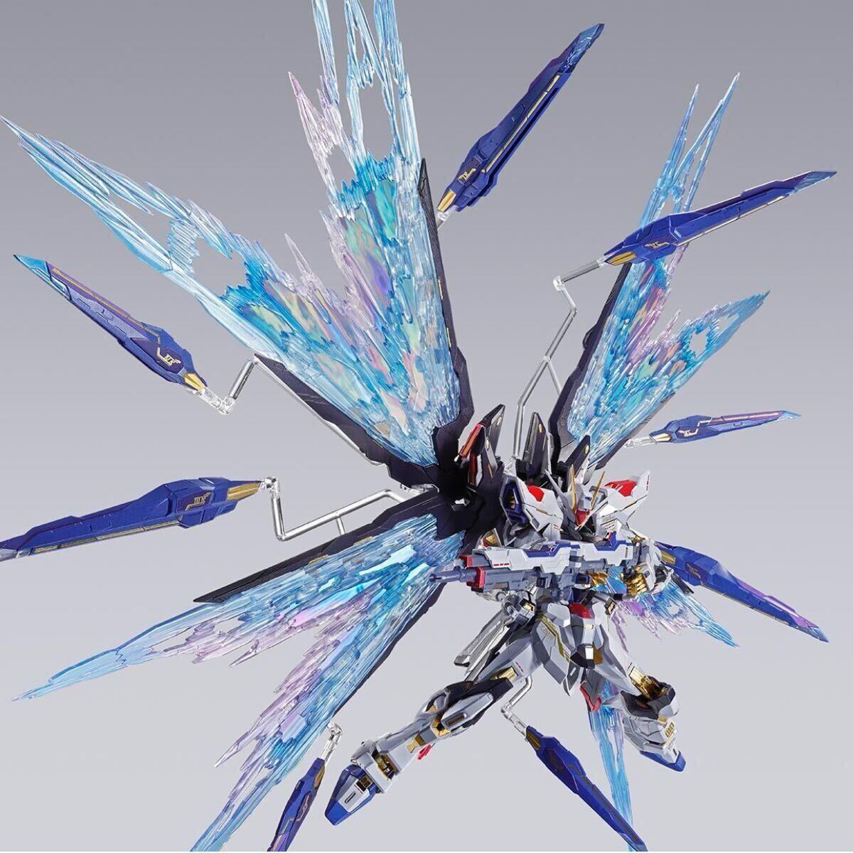 METAL BUILD ストライクフリーダムガンダム 光の翼オプションセット Re:PACKAGE 新品未開封品拍卖