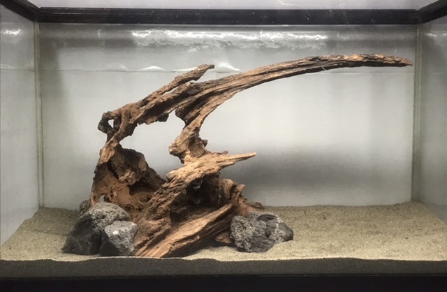 J2 沈水加工済み流木 溶岩石接着 天然淡水流木 煮沸消毒剤み 天然採集 天然 流木 アクアリウム テラリウム 送料着払い拍卖