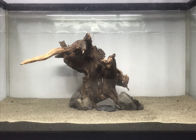 【即決】C2 沈水加工済み流木 天然淡水流木 煮沸消毒剤み 天然採集 天然 流木 水槽 アクアリウム テラリウム 送料着払い拍卖