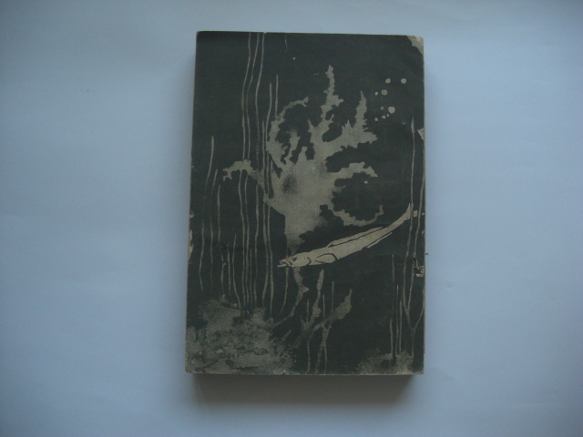 あめりか物語拍卖