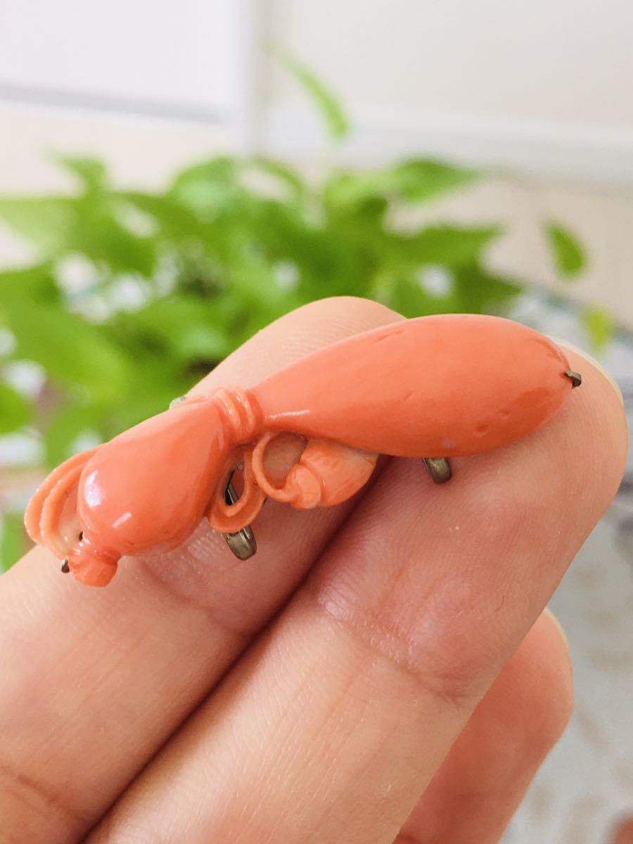 珊瑚 サンゴ 帯留拍卖