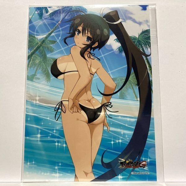 閃乱カグラ NewWave Gバースト 焔 B 銀塩ブロマイド スプラッシュブロマイド13 くじコレ 2L版サイズ拍卖