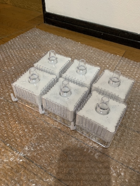 6個セット ロカボーイS gex ジェックス~ 水作ではありません〜♪ 拍卖