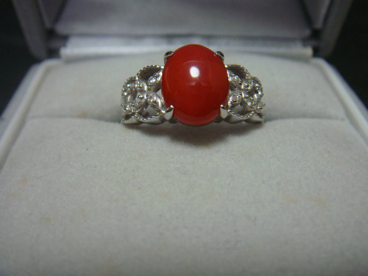 ◆血赤珊瑚 さんご サンゴ ダイヤ K18WG 4,3g◆拍卖