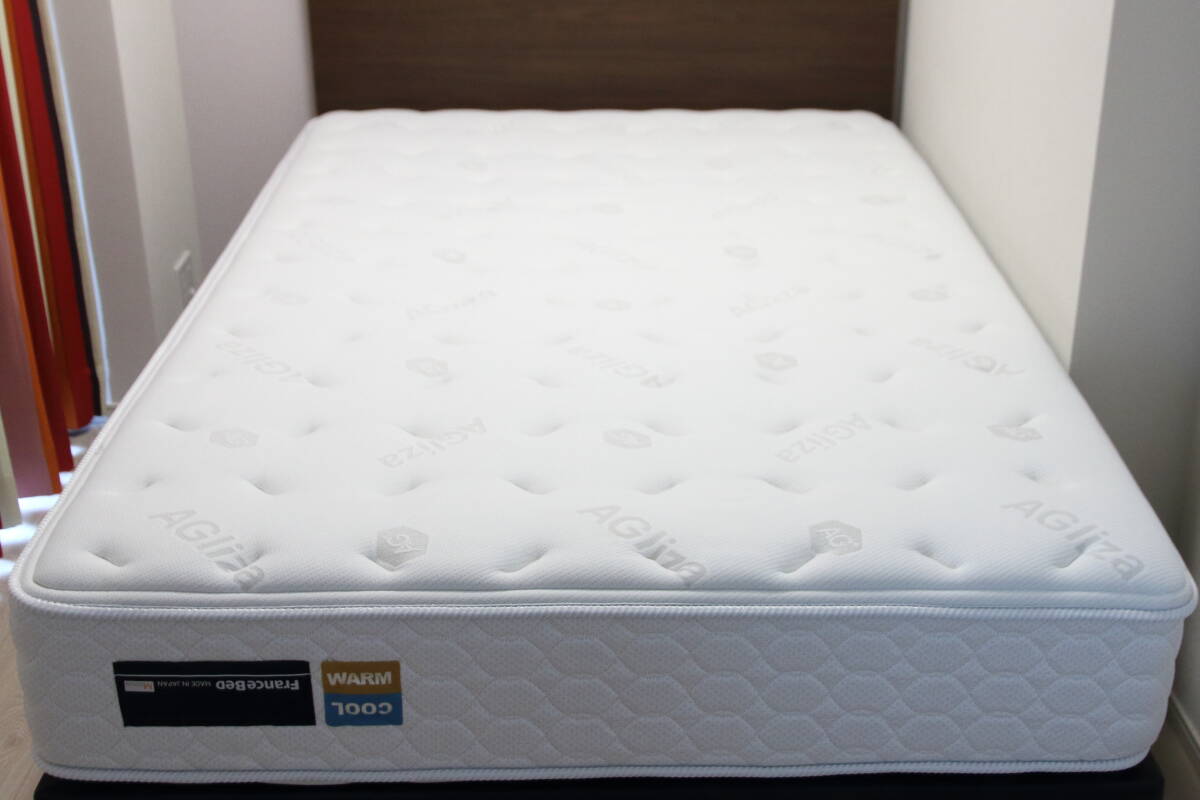 フランスベッド マットレス HF-Ag750 セミダブル 銀イオン抗菌仕様 快眠 清潔 保管良好(フレームなし)拍卖