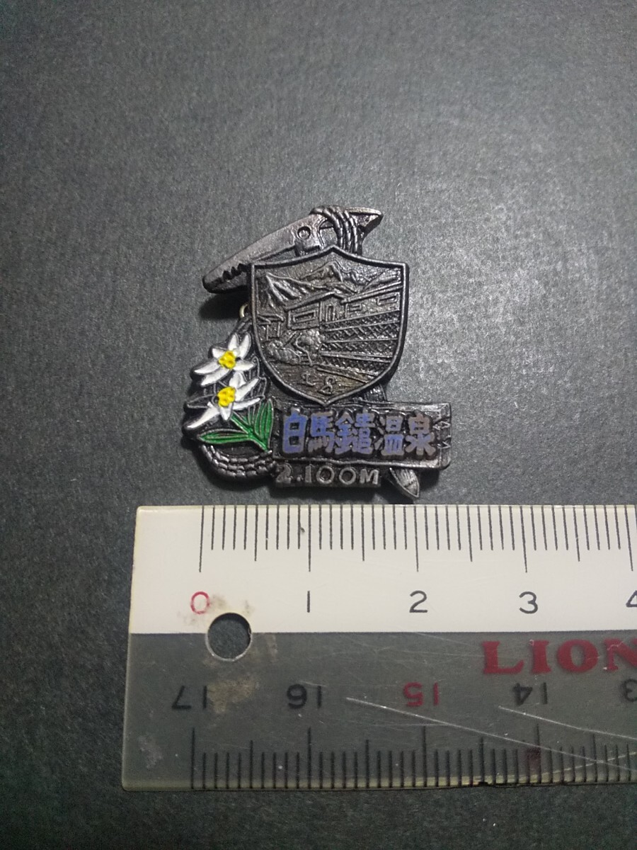 【終活品 ジャンク】北アルプス 白馬鑓温泉 2100m 登山記念 ピンバッジ拍卖