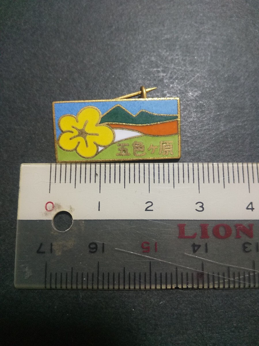 【終活品 ジャンク】北アルプス 五色ヶ原 登山記念 ピンバッジ拍卖