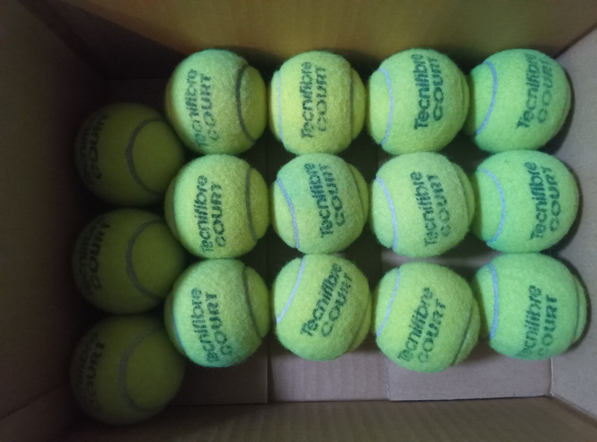 テニスボール【中古】30球 Technifiber Court & NFX拍卖