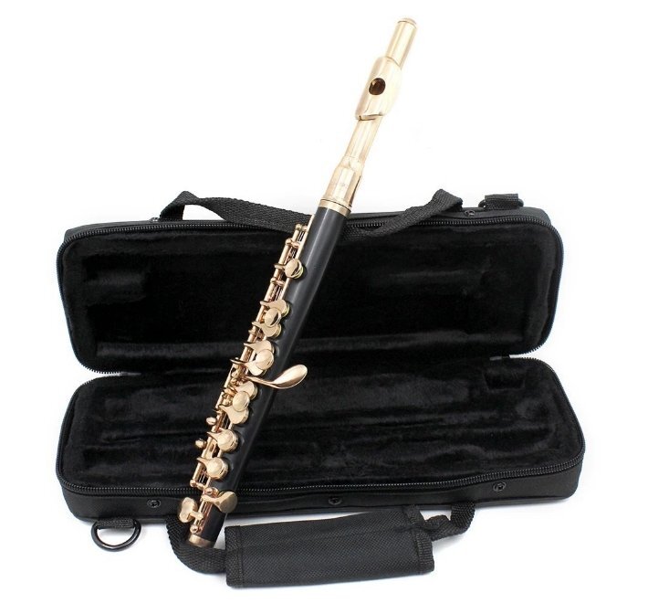 16穴ピッコロ Cキートーン、白銅銀メッキハーフサイズピッコロ、スティックケース付きドライバー拍卖