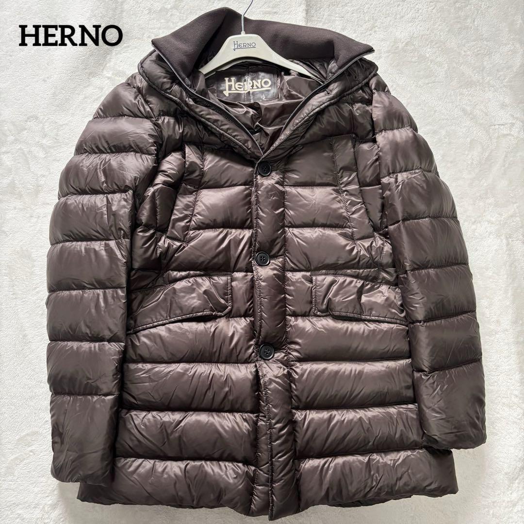 大きめ HERNO ヘルノ ダウンコート ブラウン 46 XL ロング 極暖 ダウンジャケット アウター ロング丈 希少サイズ拍卖