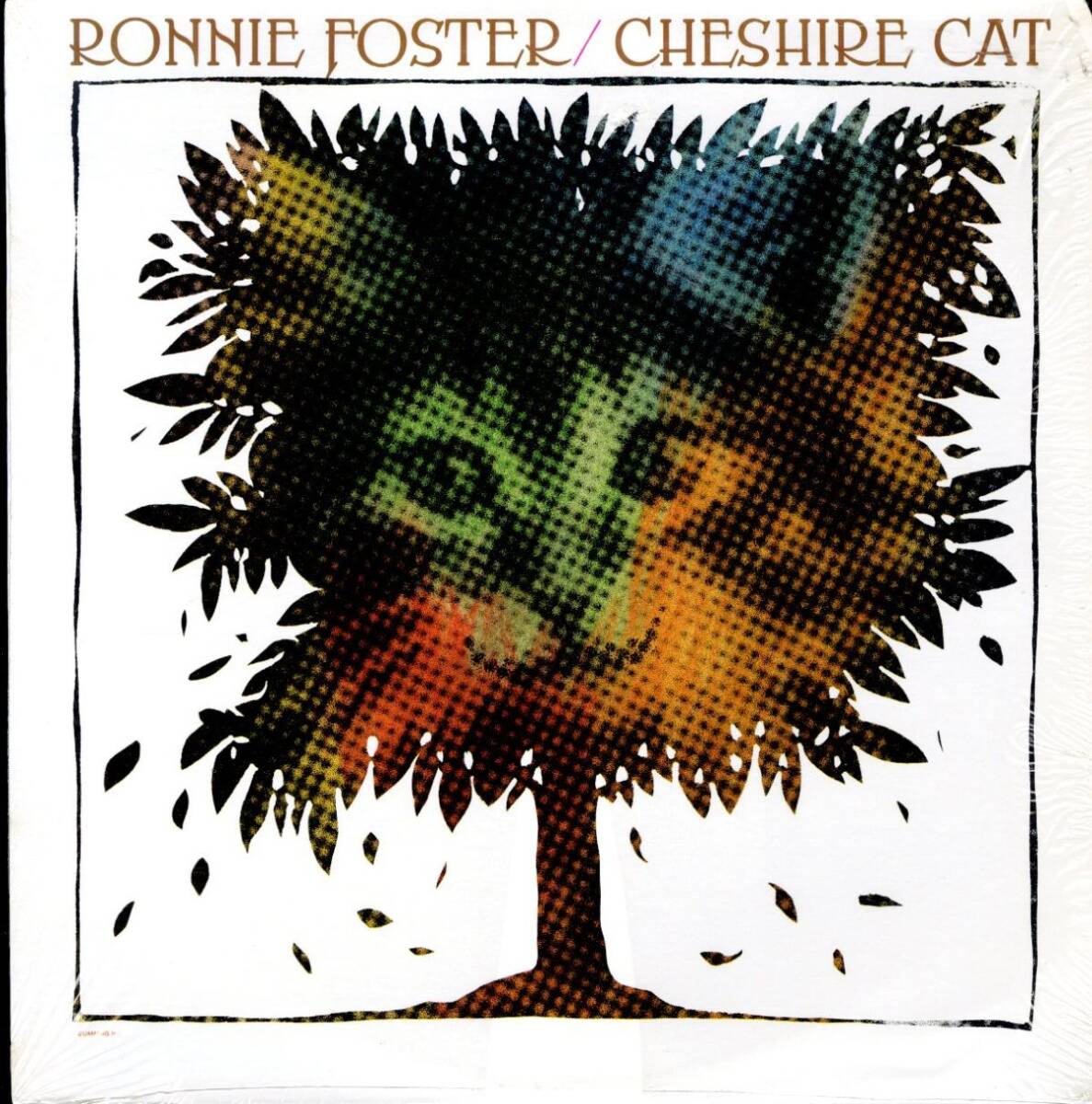 USオリジLP!シュリンク付 Ronnie Foster / Cheshire Cat 75年【Blue Note / BN-LA425-G】ロニー・フォスター George Benson Stevie Wonder拍卖