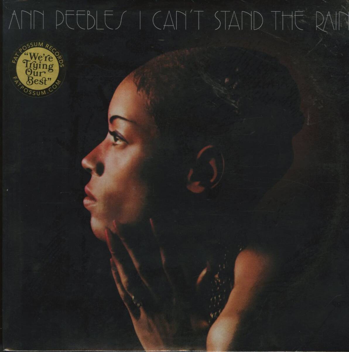 新品!2014年 USプレスLP!Ann Peebles / I Can't Stand The Rain 1974年作【Fat Possum / FPH1138-1】アン・ピーブルズ Funk拍卖