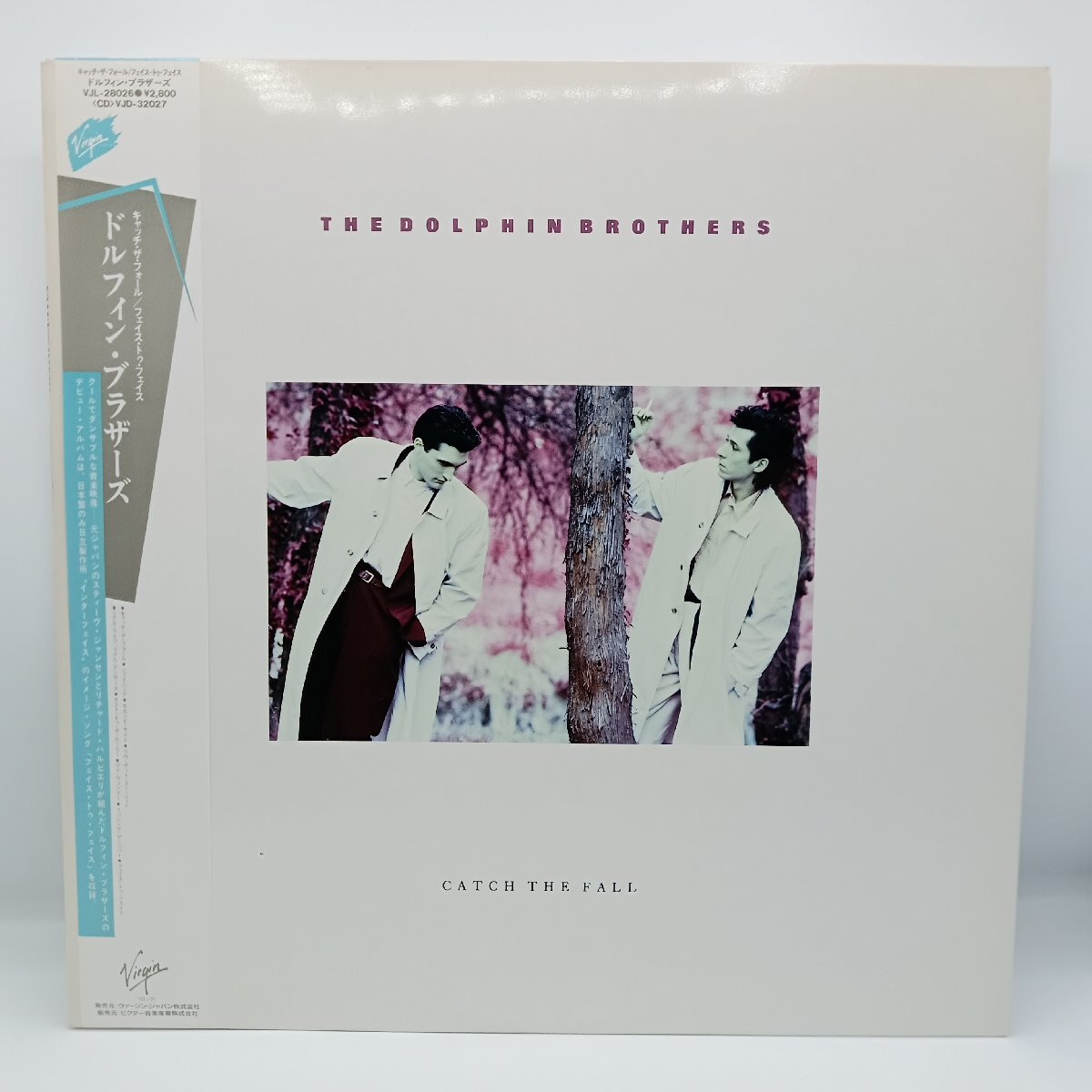 ★THE DOLPHIN BROTHERS / CATCH THE FALL (LP) VJL-28026 ドルフィン・ブラザーズ キャッチ・ザ・フォール拍卖