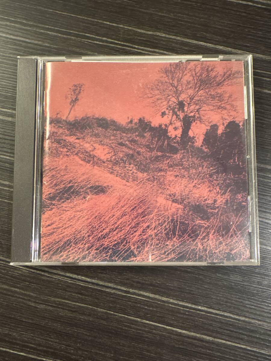 ザ・ディランⅡ きのうの思い出に別れをつげるんだもの拍卖