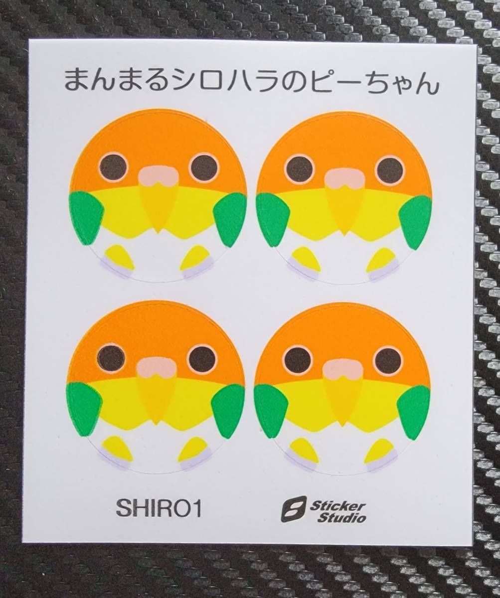 ■シロハラインコ シロハラステッカー スマホ・屋外OK 送料無料 拍卖