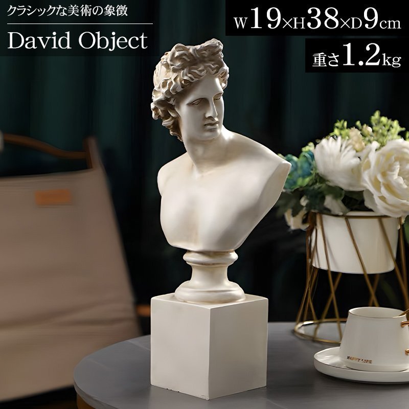 ダビデ像 置物 オブジェ 雑貨 胸像 38cm ミケランジェロ 現代抽象芸術 バスト像 美術館 古代ギリシャ オーナメント 石膏像風 DO-25WH拍卖