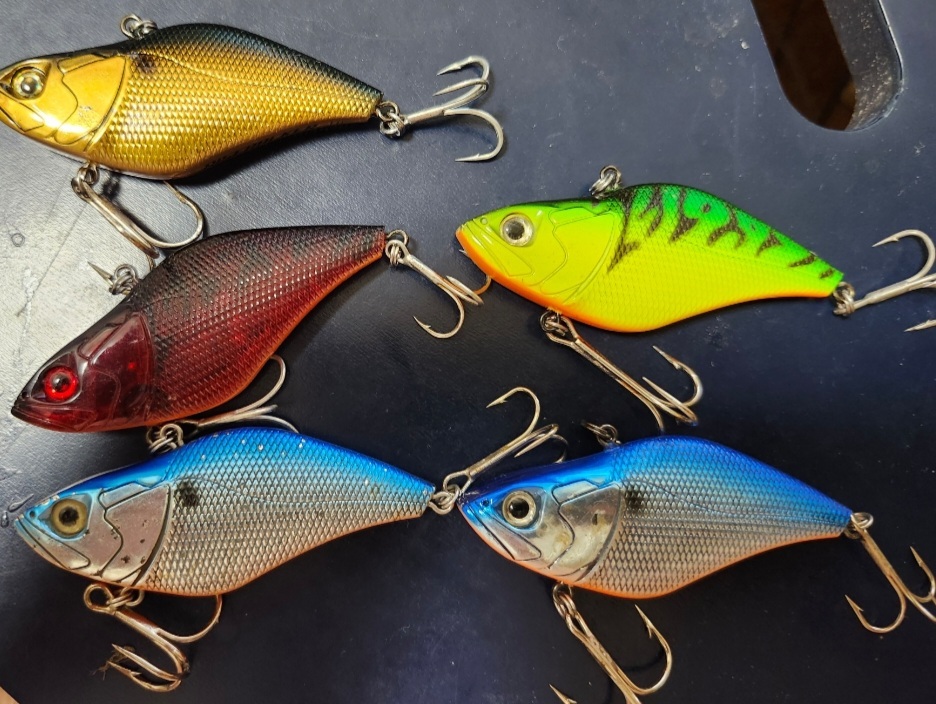 5個セット ヴァイパーデザイン ライズバッカーHi すべてハイサウンド拍卖