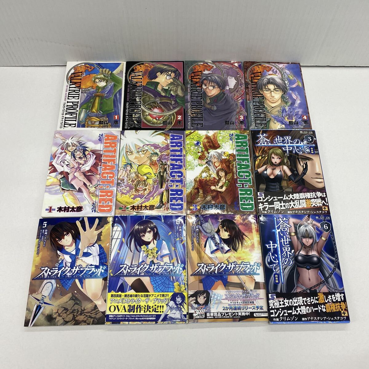 830 漫画本 全初版本 ストライクザブラッド アーティファクトレッド 他… バラ 12冊 マンガ 漫画 少年漫画 青年漫画 コミックス 古本 拍卖