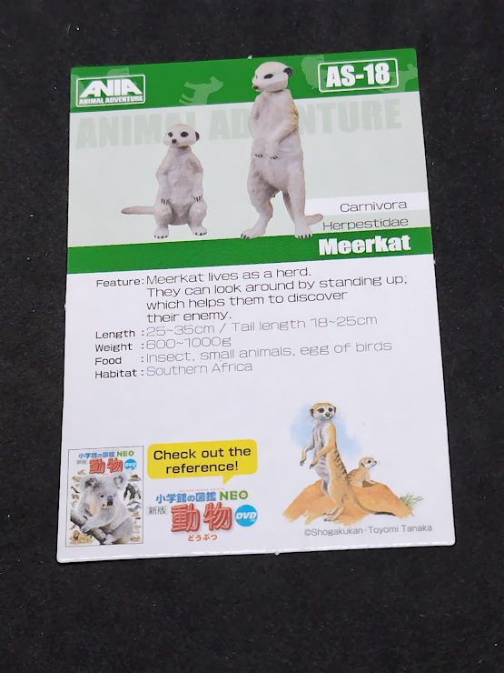 アニアのカード AS-18 Meerkat カードのみ拍卖