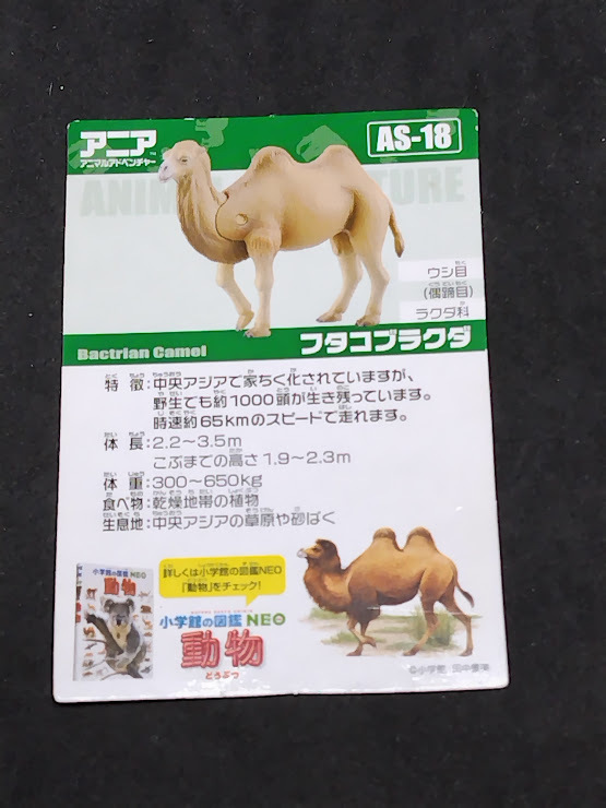 アニアのカード AS-18 フタコブラクダ カードのみ拍卖