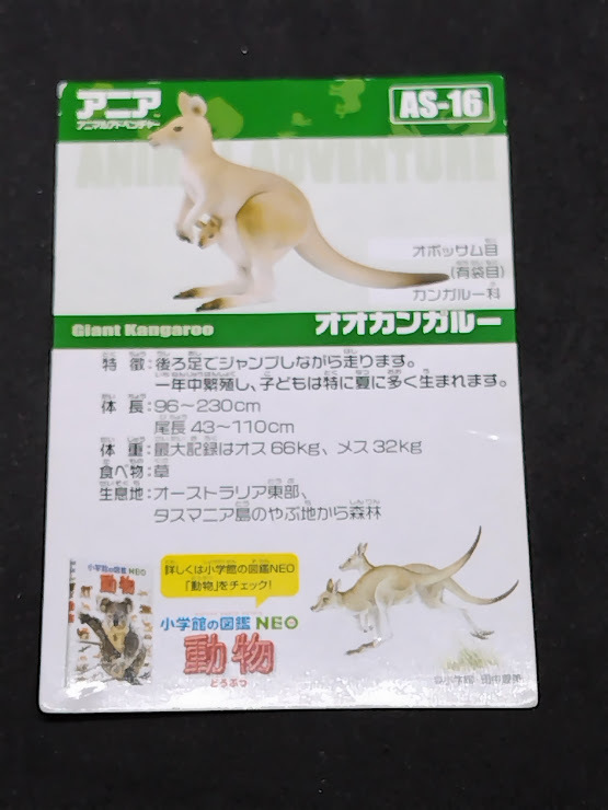 アニアのカード AS-16 オオカンガルー カードのみ拍卖