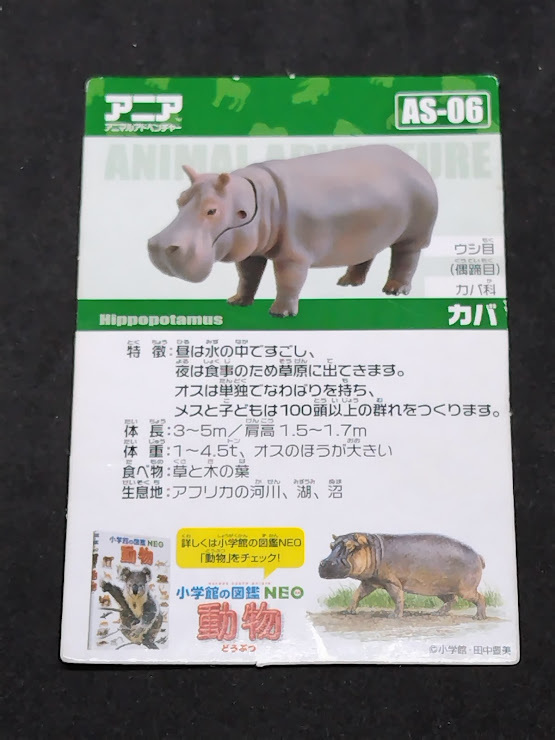 アニアのカード AS-06 カバ カードのみ拍卖