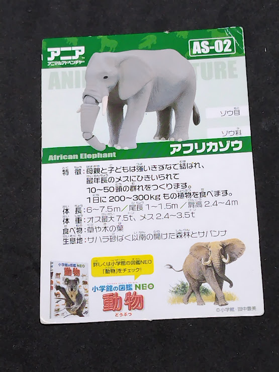 アニアのカード AS-02 アフリカゾウ カードのみ拍卖