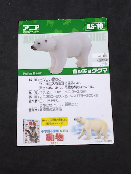 アニアのカード AS-10 ホッキョクグマ カードのみ拍卖