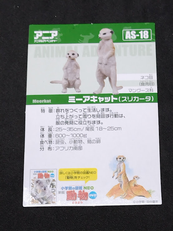 アニアのカード AS-18 ミーアキャット カードのみ拍卖