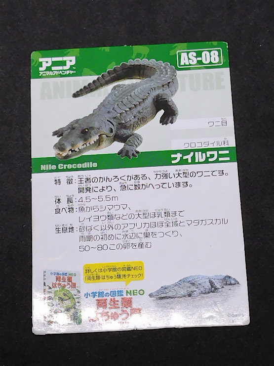 アニアのカード AS-08 ナイルワニ カードのみ拍卖