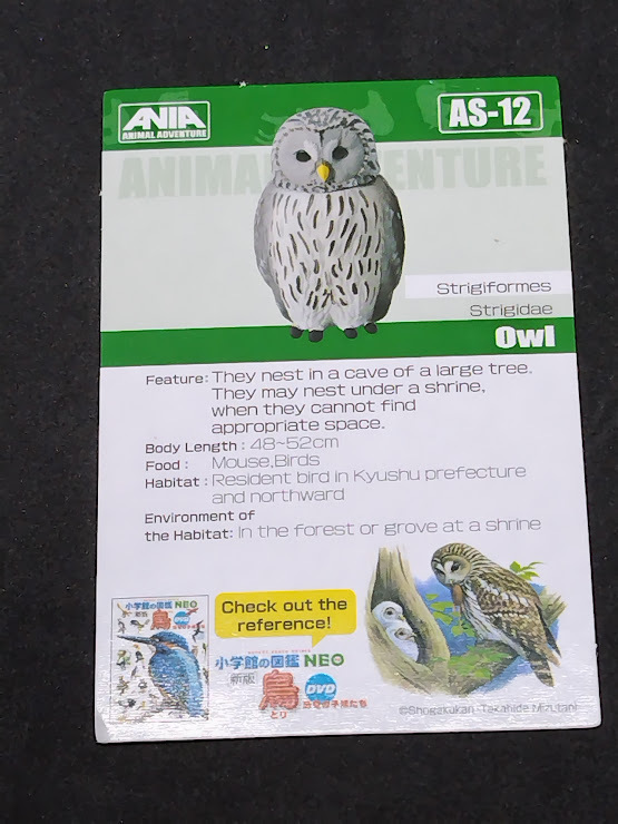 アニアのカード AS-12 Owl カードのみ拍卖