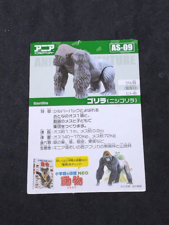 アニアのカード AS-09 ゴリラ カードのみ拍卖