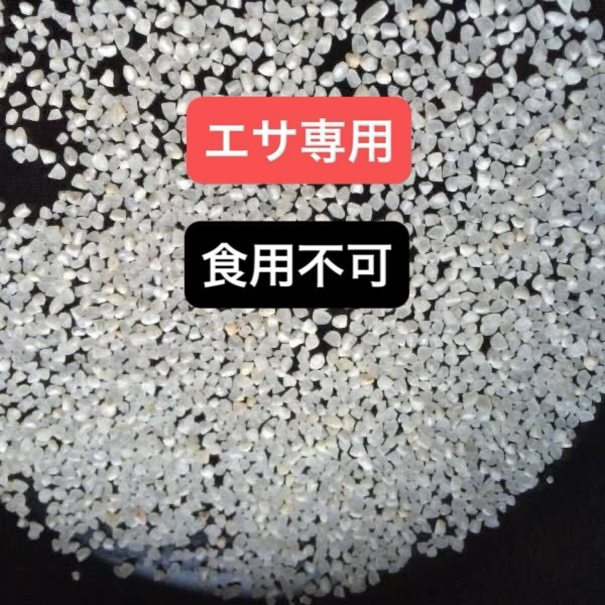 エサ専用 食用不可法人 商店か営業所留め限定※くだけ米30㎏☆砕米 くず米 30kg 鳥 ペットのえさ拍卖