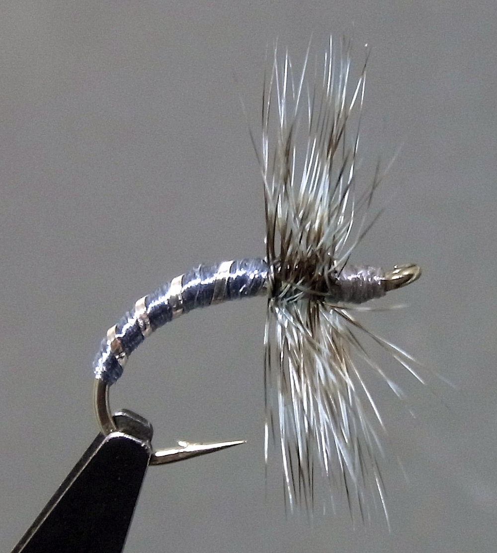 大物対応! テンカラ/フライ #12 ブルーダン 10本拍卖