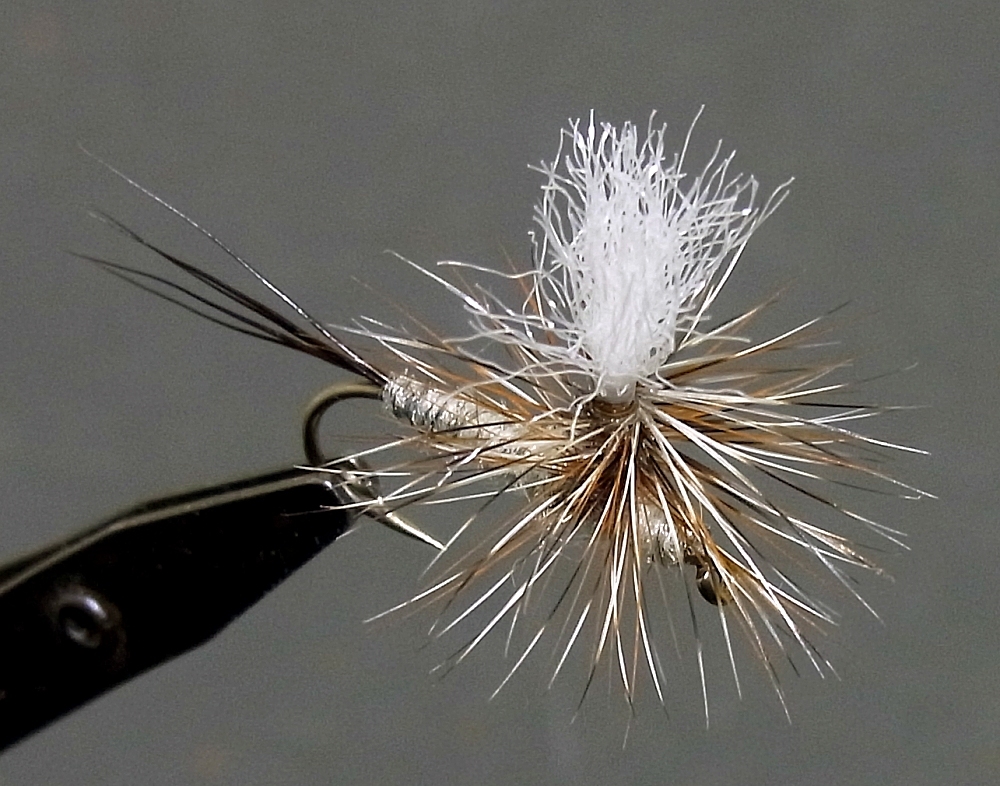 パイロットフライに! アダムス パラシュート #12 6本拍卖