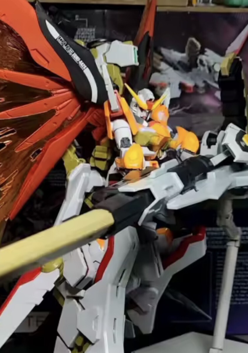 海外製 HG デスティニーガンダム ハイネ & ゼウスシルエット拍卖