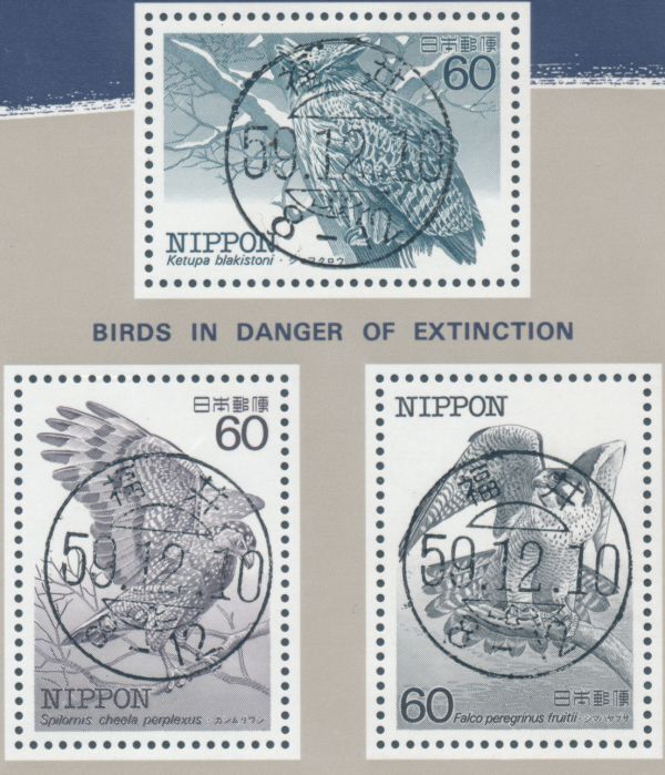 試行印 特殊鳥類小型シート 福井局 初日印拍卖