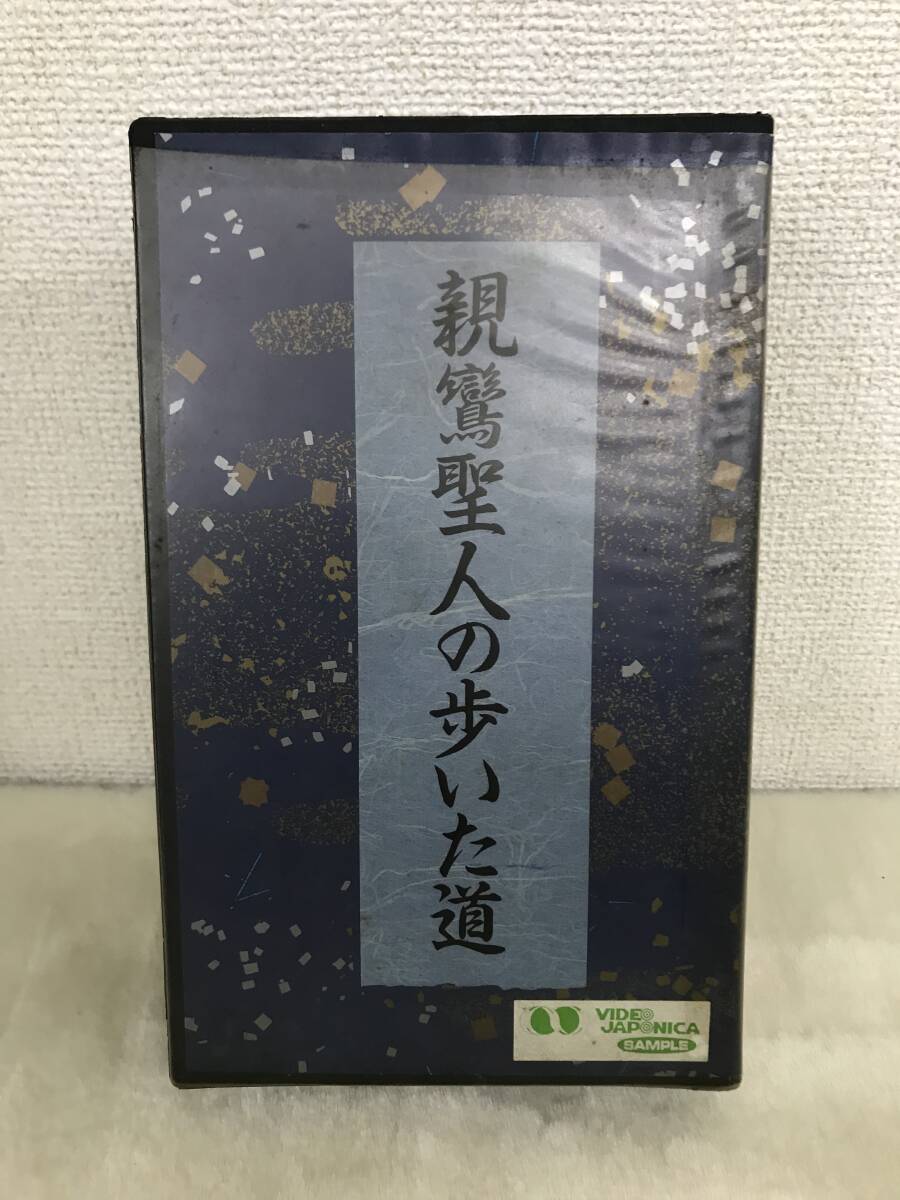 2172 小学館プロダクション ビデオジャポニカ VHS 親鸞聖人の歩いた道 仏教 宗教 人文 社会 教育 他拍卖